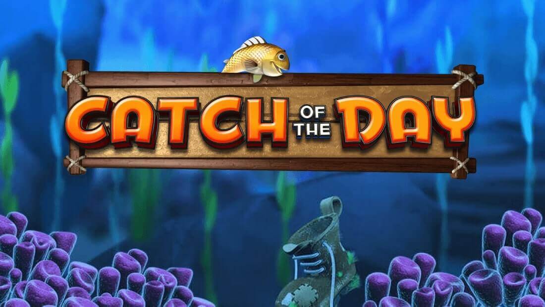 Catch Of The Day