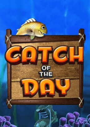 Catch Of The Day