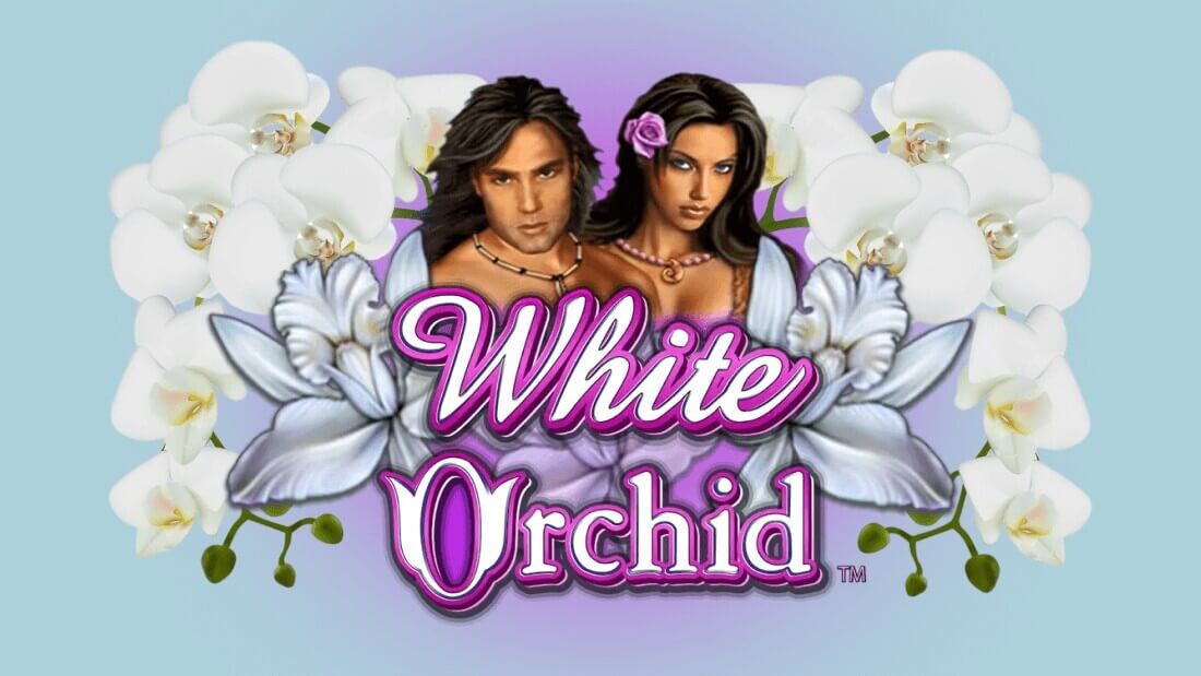 White Orchid