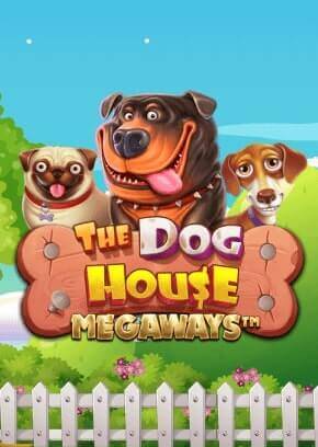The Dog House Megaways