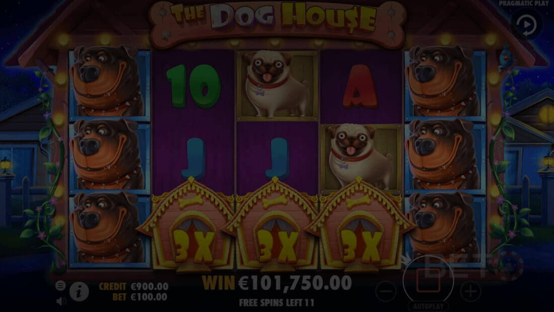 The Dog House