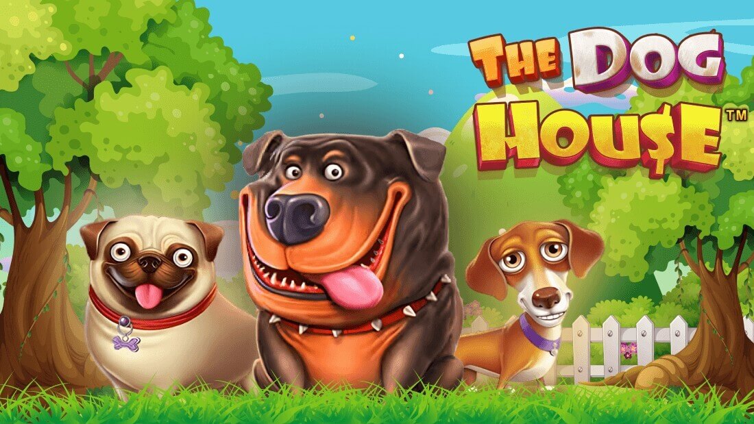 The Dog House